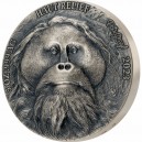 Orangutan symbol Asie - exkluzivní stříbrná mince s vysokým reliéfem